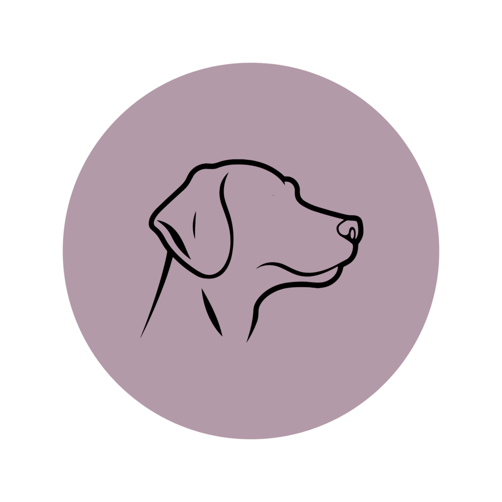 Bea Holzmann begleitet Menschen, Pferde und Hunde mit zertifizierter ganzheitlicher Energetik in Tirol – energetische Anwendungen wie Cranio, Aromaberatung, Kinesiologie, CRT und Farblicht zur Förderung des Wohlbefindens.