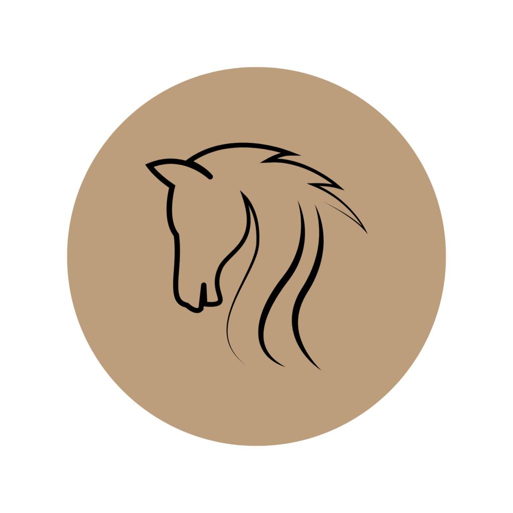 Bea Holzmann begleitet Menschen, Pferde und Hunde mit zertifizierter ganzheitlicher Energetik in Tirol – energetische Anwendungen wie Cranio, Aromaberatung, Kinesiologie, CRT und Farblicht zur Förderung des Wohlbefindens.