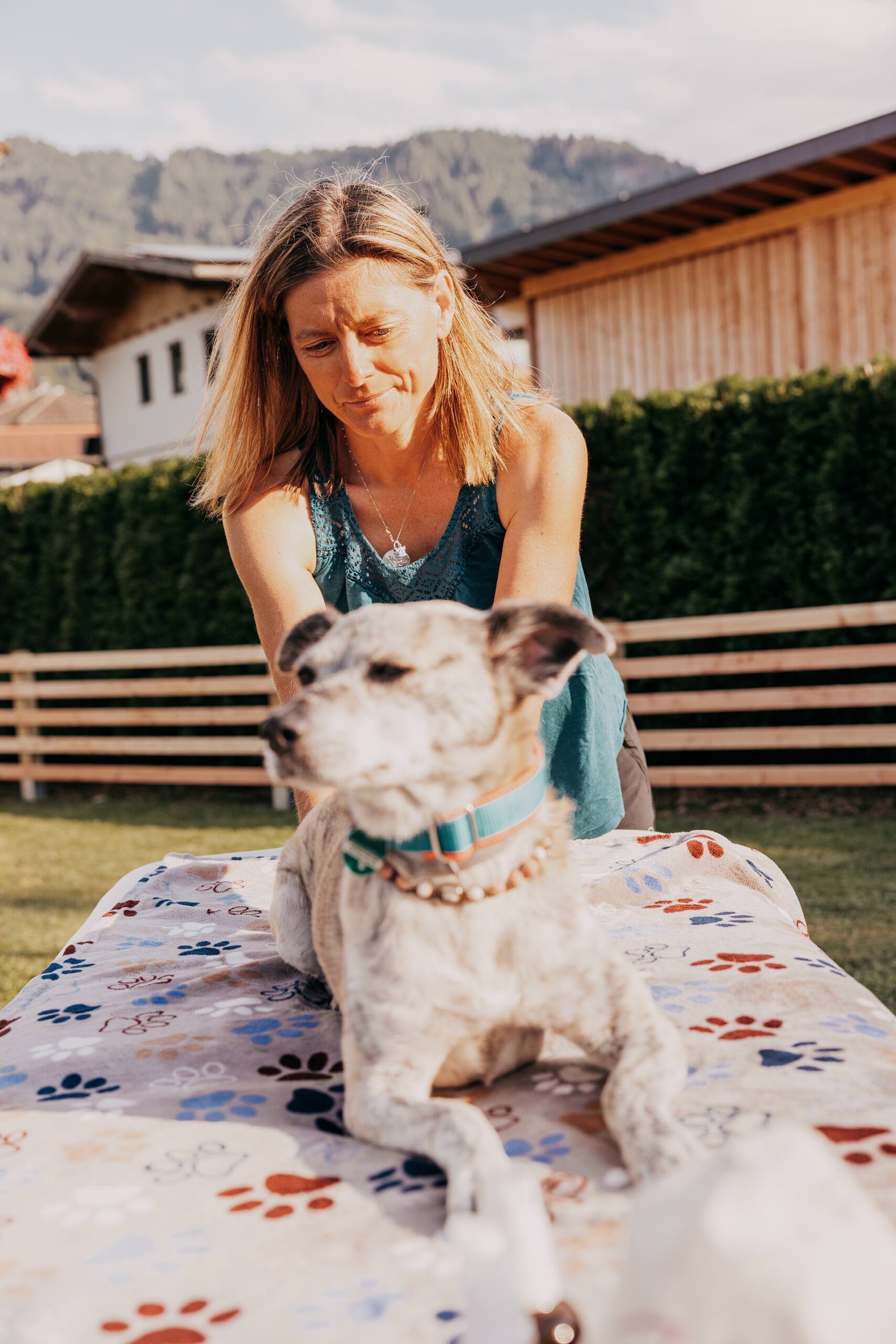 Bea Holzmann bietet zertifizierte energetische Begleitung für Hunde und Pferde in Tirol mit CRT-4-Pets, Aromatherapie und ganzheitlicher Tierenergetik Tirol – besonders für Stresshunde, nervöse Tiere und Tiere aus dem Tierschutz.