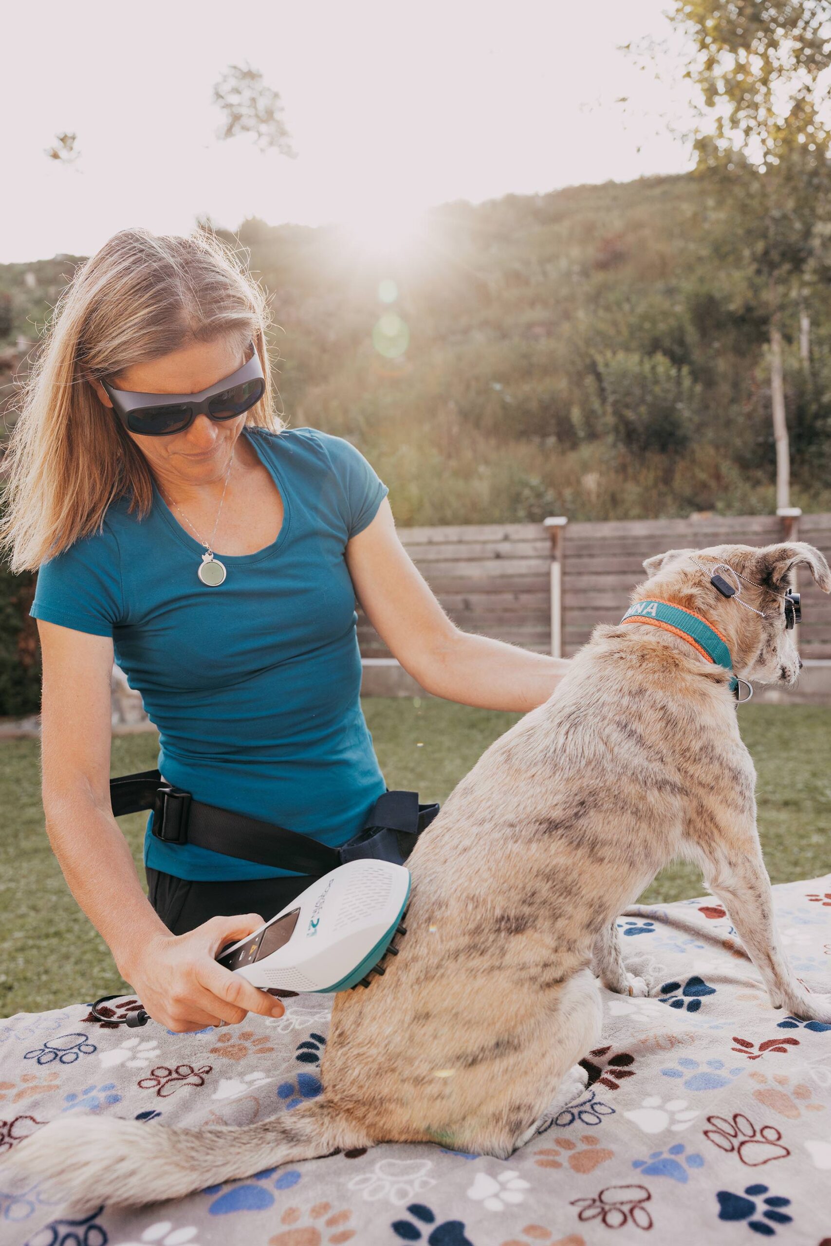 Ganzheitliche Tierenergetik Tirol bei Bea Holzmann mit zertifizierter energetischer Begleitung, CRT-4-Pets und Aromatherapie für Hunde und Pferde – achtsam begleitet bei Stresshunden, Angst, Nervosität und Tierschutz.