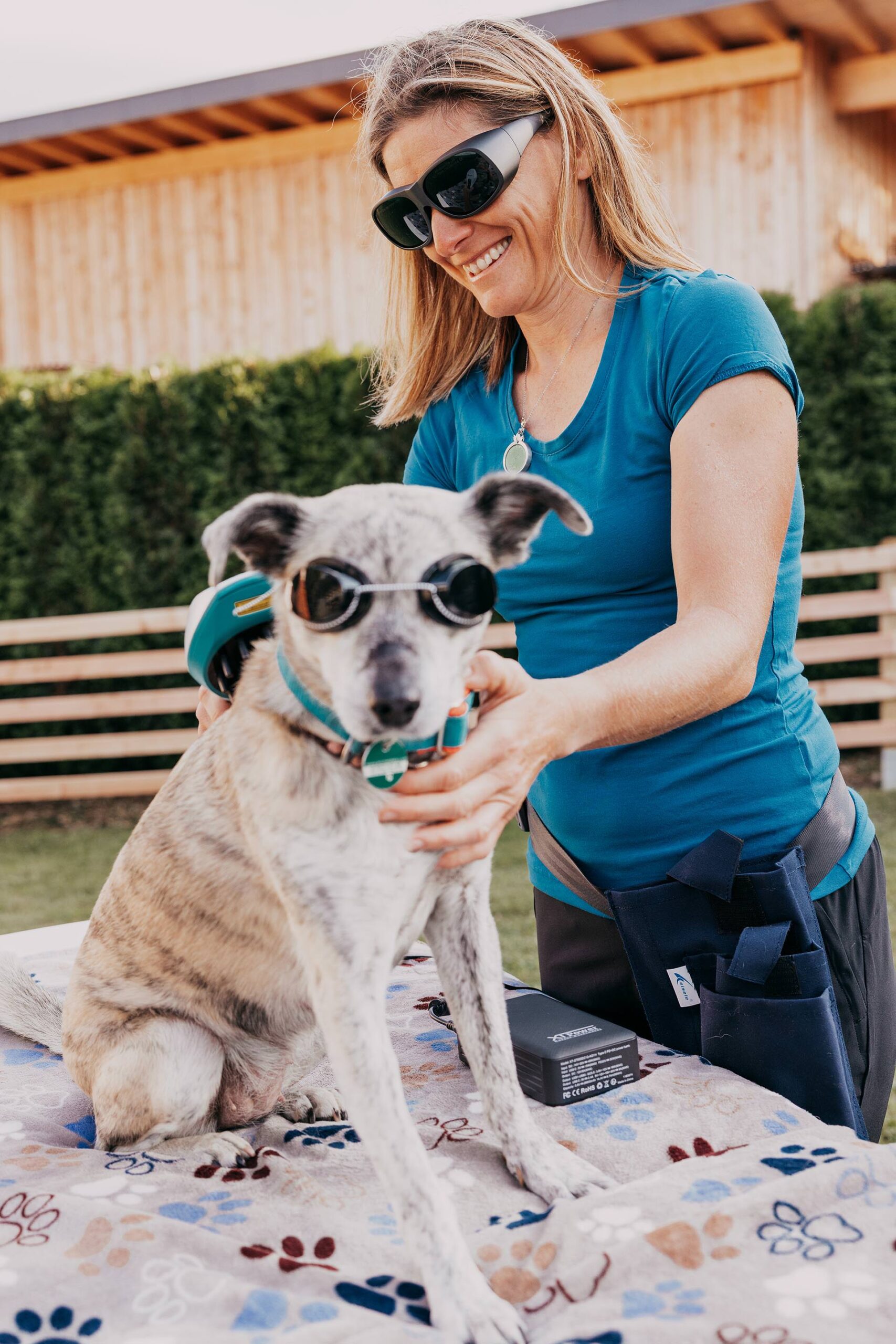 Ganzheitliche Tierenergetik Tirol bei Bea Holzmann mit zertifizierter energetischer Begleitung, CRT-4-Pets und Aromatherapie für Hunde und Pferde – achtsam begleitet bei Stresshunden, Angst, Nervosität und Tierschutz.