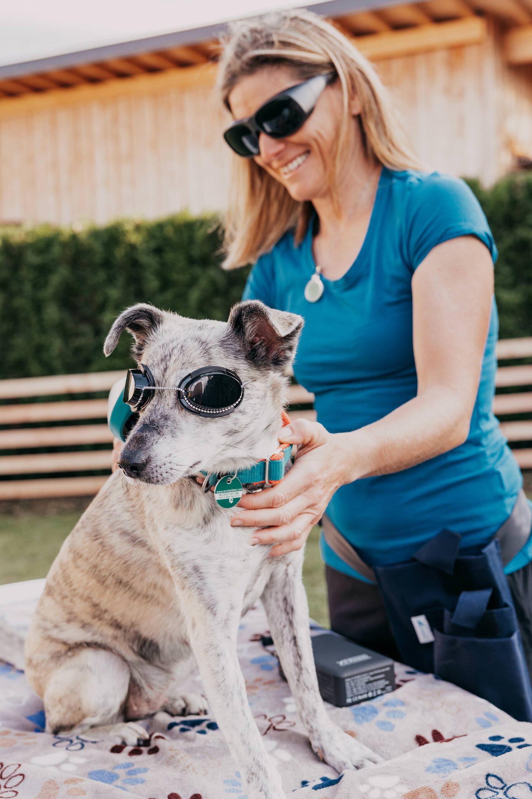 Ganzheitliche Tierenergetik Tirol bei Bea Holzmann mit zertifizierter energetischer Begleitung, CRT-4-Pets und Aromatherapie für Hunde und Pferde – achtsam begleitet bei Stresshunden, Angst, Nervosität und Tierschutz.