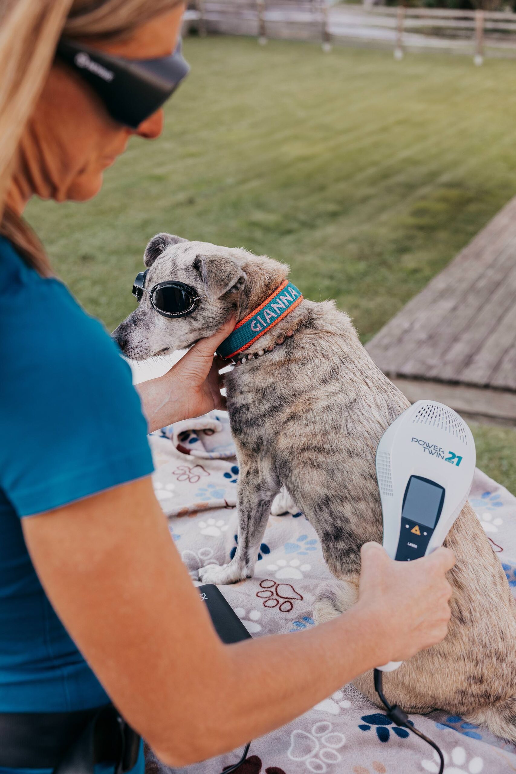 Ganzheitliche Tierenergetik Tirol bei Bea Holzmann mit zertifizierter energetischer Begleitung, CRT-4-Pets und Aromatherapie für Hunde und Pferde – achtsam begleitet bei Stresshunden, Angst, Nervosität und Tierschutz.