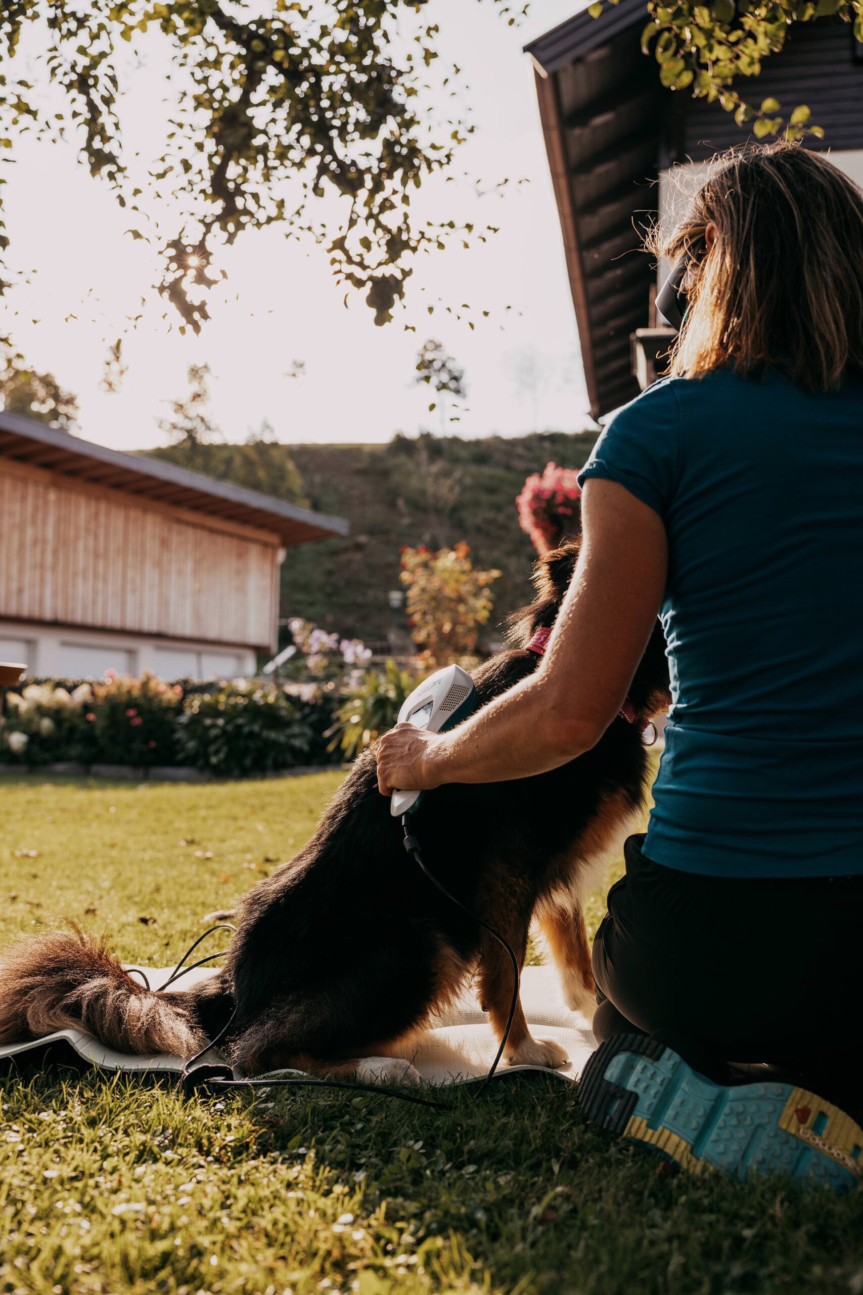 Energetische Tierbegleitung in Tirol: Bea Holzmann arbeitet zertifiziert mit Tierenergetik Tirol, CRT-4-Pets und Aromatherapie für Hunde und Pferde – unterstützend für Stresshunde, nervöse Tiere und Tiere aus dem Tierschutz.