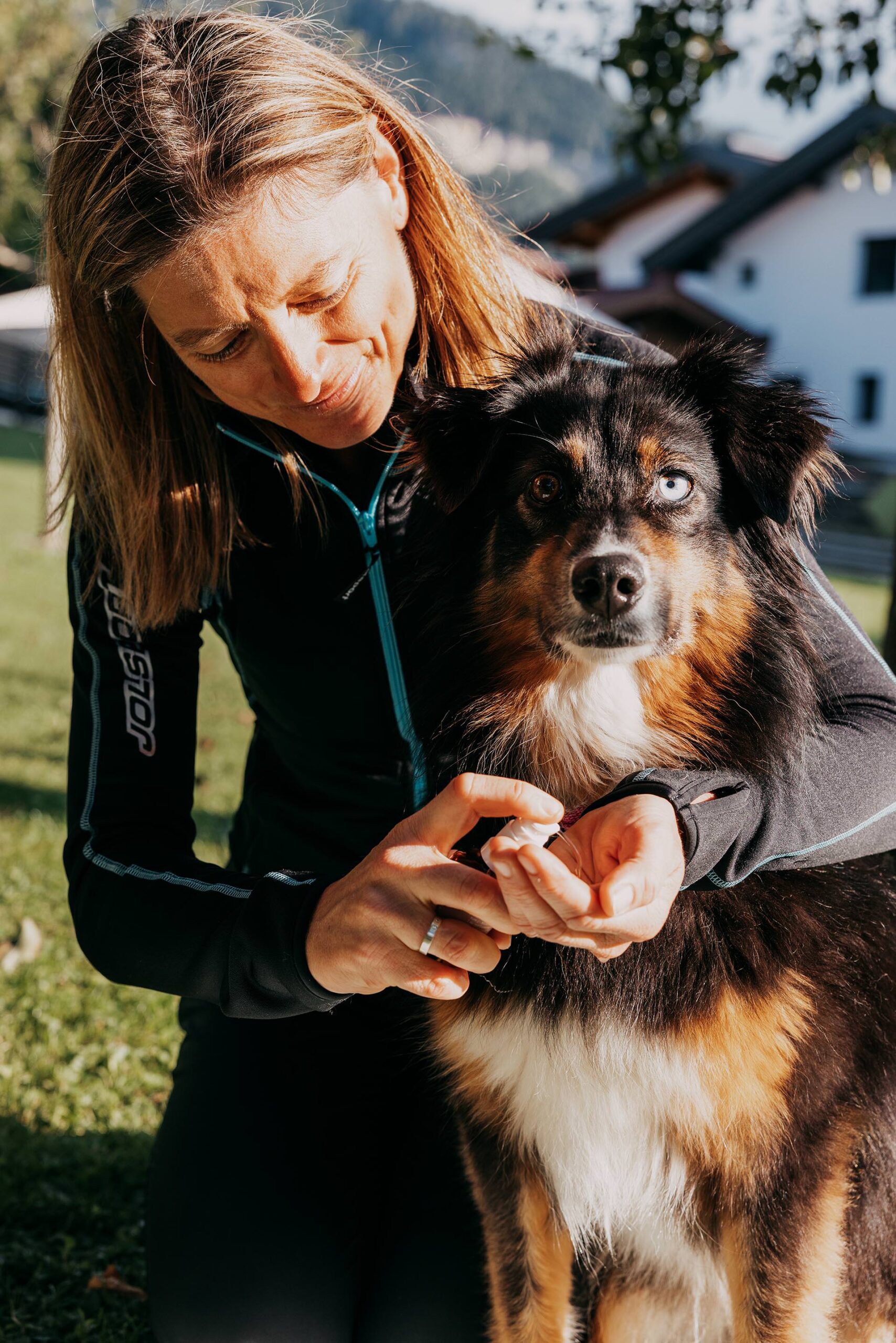 Energetische Tierbegleitung in Tirol: Bea Holzmann arbeitet zertifiziert mit Tierenergetik Tirol, CRT-4-Pets und Aromatherapie für Hunde und Pferde – unterstützend für Stresshunde, nervöse Tiere und Tiere aus dem Tierschutz.