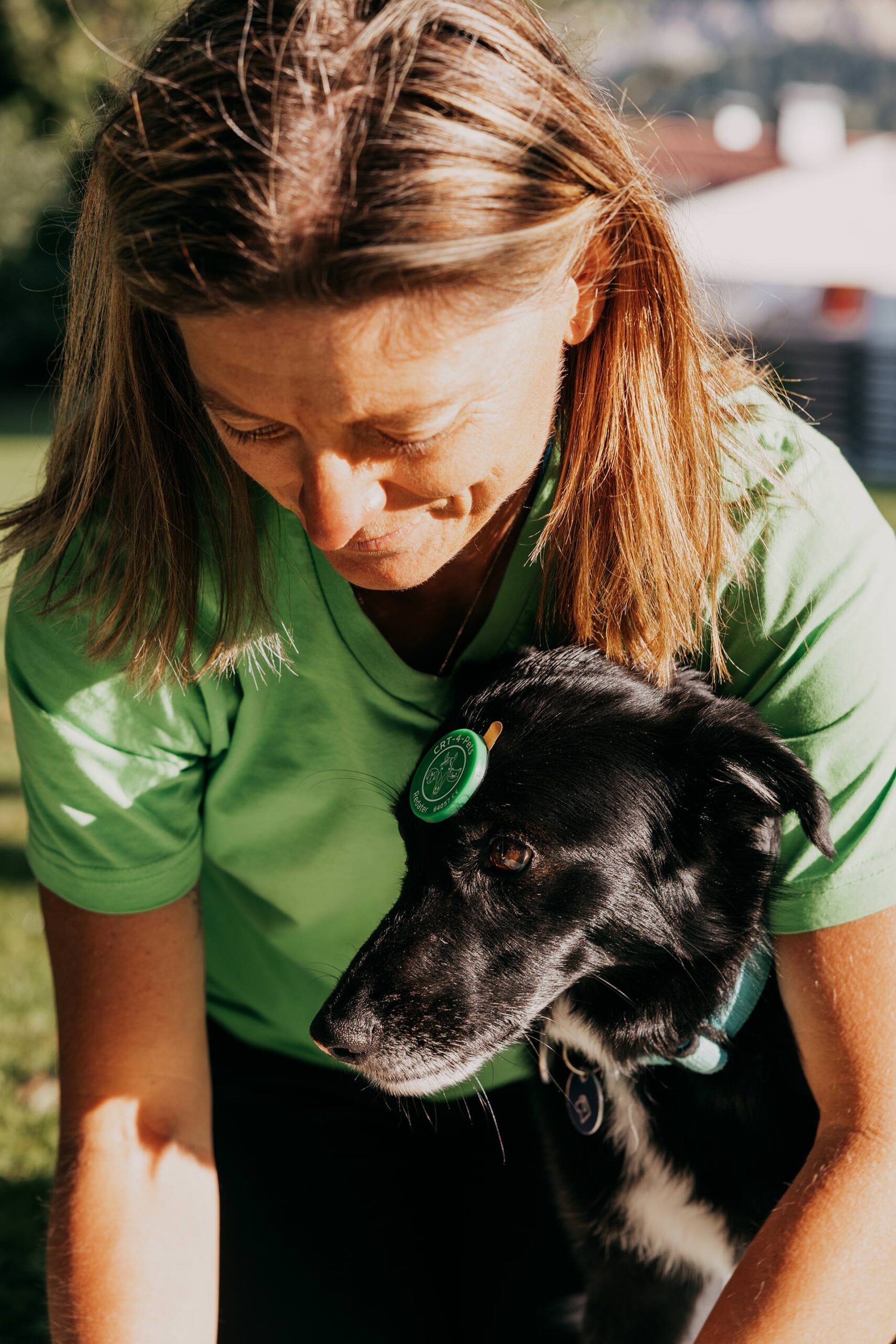 Energetische Tierbegleitung in Tirol: Bea Holzmann arbeitet zertifiziert mit Tierenergetik Tirol, CRT-4-Pets und Aromatherapie für Hunde und Pferde – unterstützend für Stresshunde, nervöse Tiere und Tiere aus dem Tierschutz.