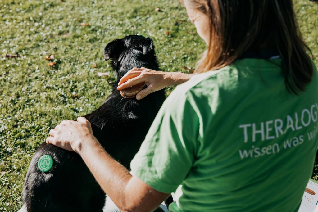 Bea Holzmann begleitet Hunde und Pferde mit zertifizierter Tierenergetik Tirol, CRT-4-Pets und Aromatherapie – energetische Begleitung für Stresshunde, Angst, Nervosität und sensible Tierschutz-Tiere