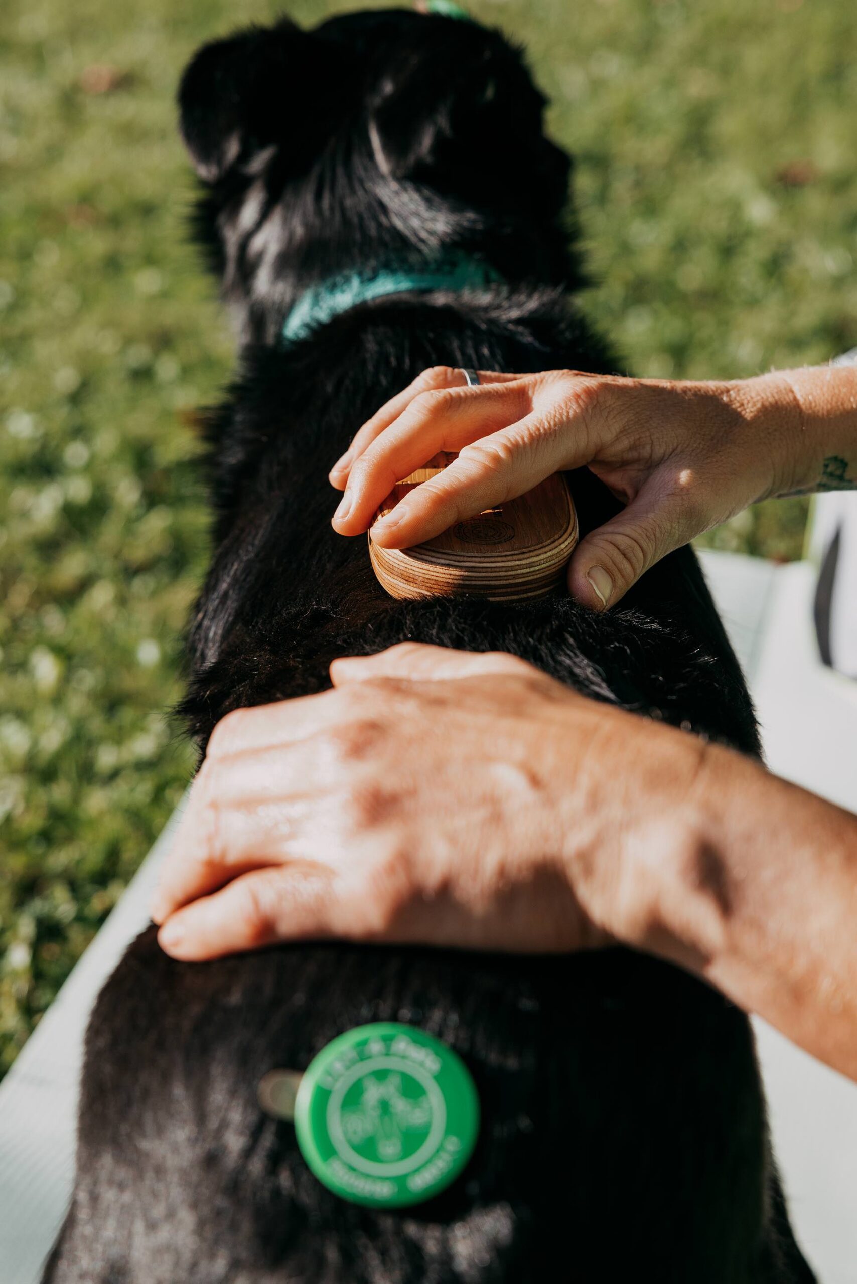 Bea Holzmann begleitet Hunde und Pferde mit zertifizierter Tierenergetik Tirol, CRT-4-Pets und Aromatherapie – energetische Begleitung für Stresshunde, Angst, Nervosität und sensible Tierschutz-Tiere