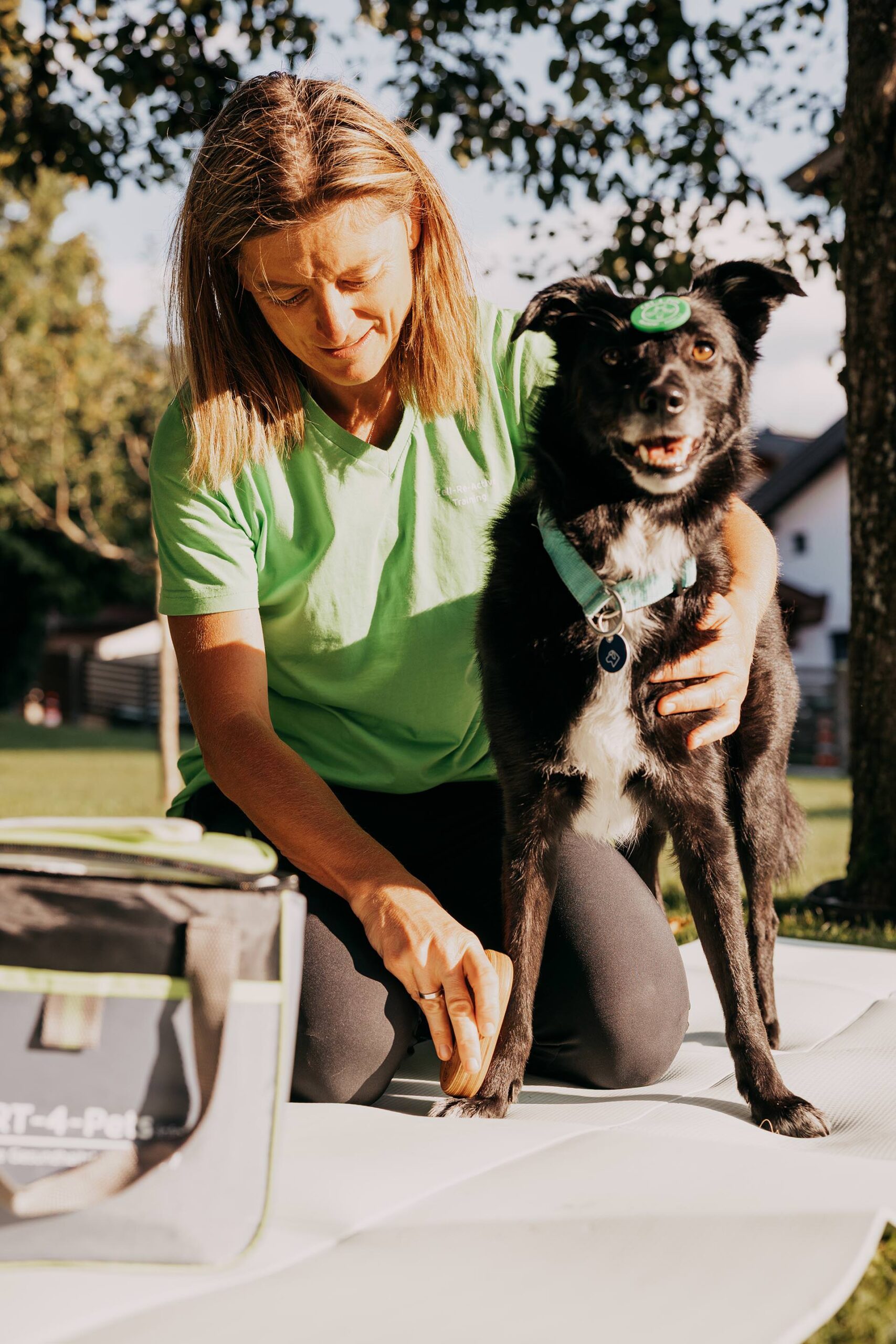 Zertifizierte energetische Begleitung für Hunde und Pferde bei Bea Holzmann in Tirol: Tierenergetik Tirol mit CRT-4-Pets, Aromatherapie sowie sanfte Unterstützung für Hunde und Pferde bei Stress oder Angst