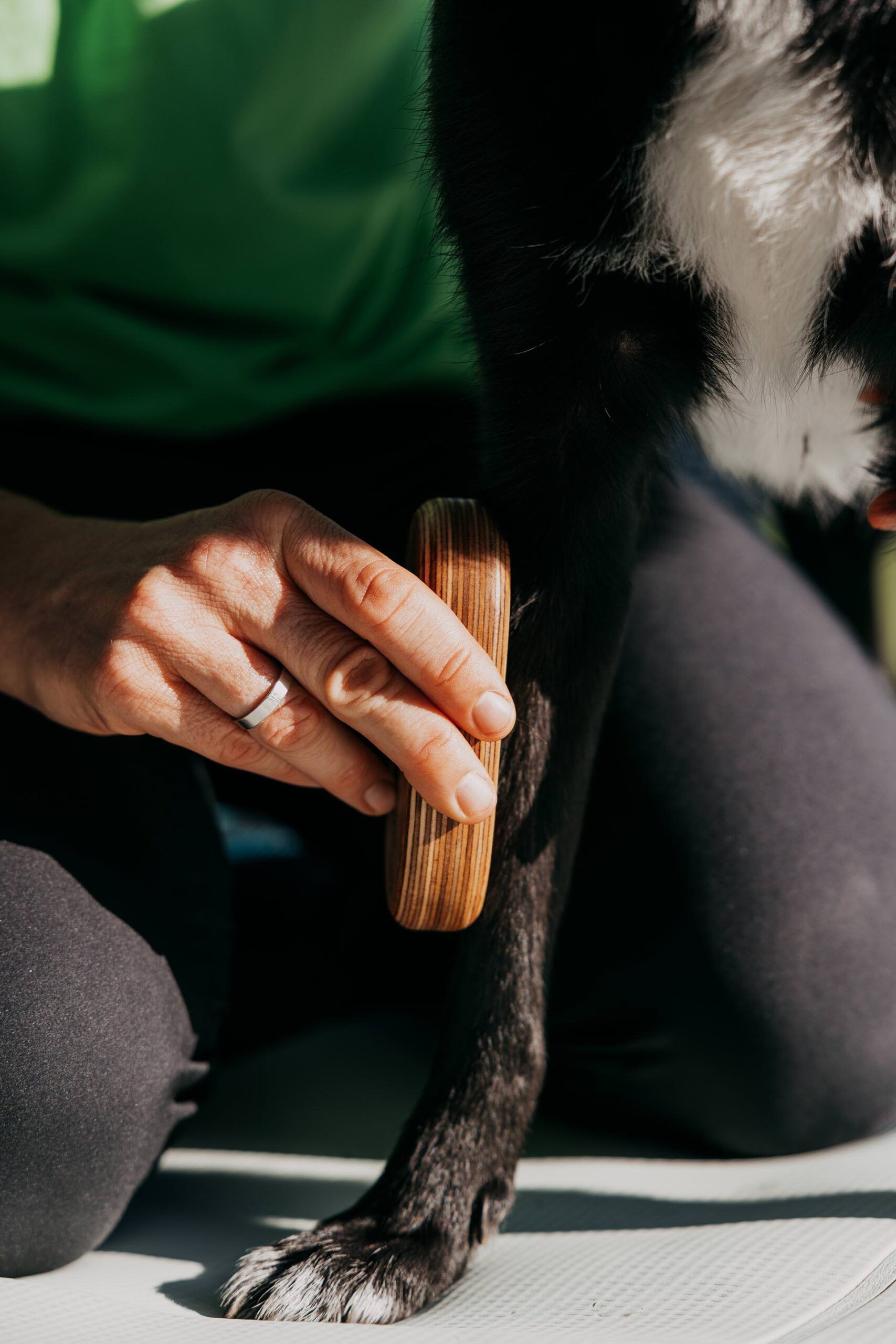 Zertifizierte energetische Begleitung für Hunde und Pferde bei Bea Holzmann in Tirol: Tierenergetik Tirol mit CRT-4-Pets, Aromatherapie sowie sanfte Unterstützung für Hunde und Pferde bei Stress oder Angst