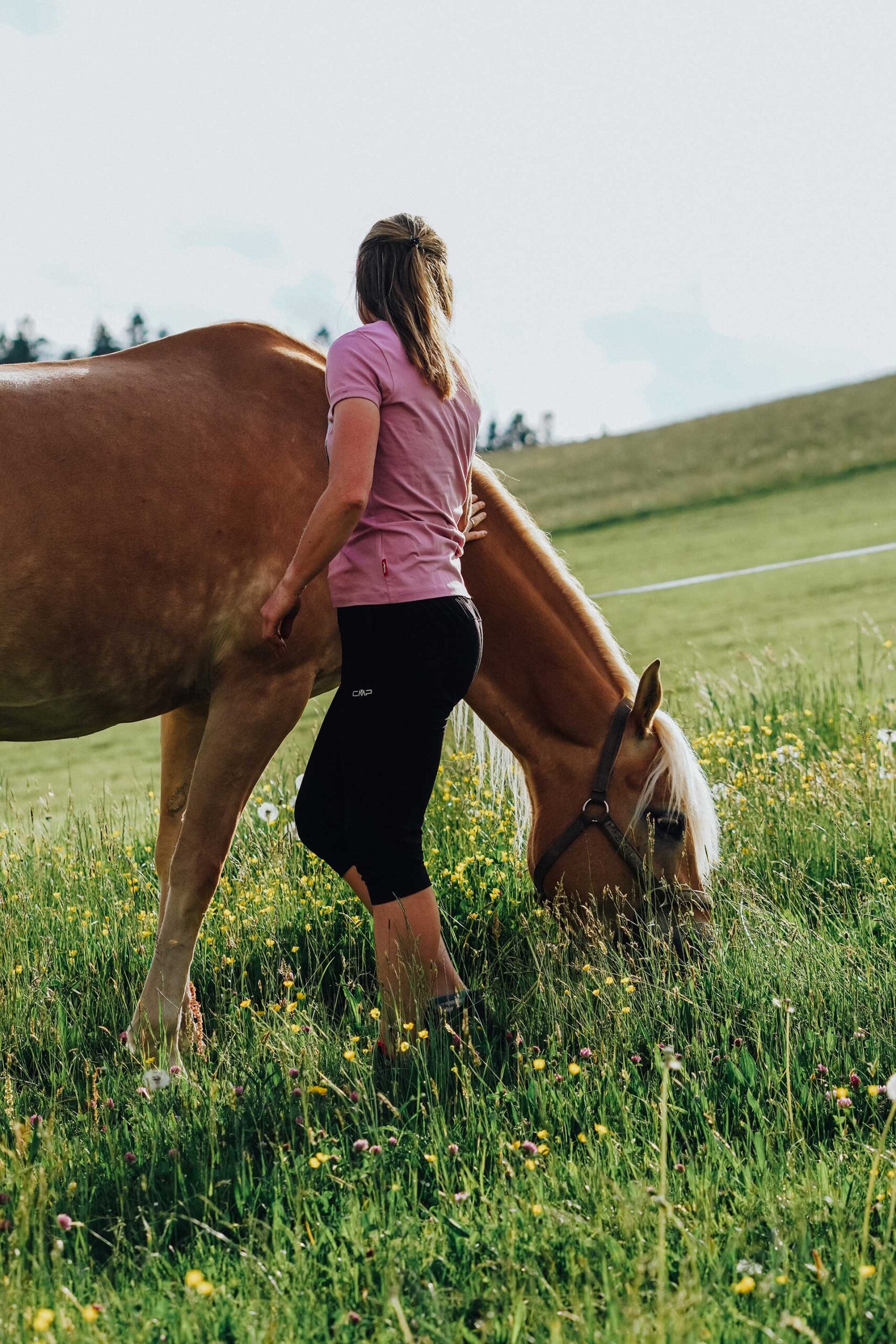 Energetische Anwendungen für Sport- und Freizeitpferde bei Bea Holzmann in Tirol fördern Regeneration, Bewegungsfreude und innere Balance. Durch die Kombination aus Tierenergetik, Kinesiologie, Aromaanwendungen und Farblicht werden energetische Blockaden sanft begleitet. Diese ganzheitliche Begleitung eignet sich ideal für Pferde im Training, im Turniersport oder zur präventiven Unterstützung.