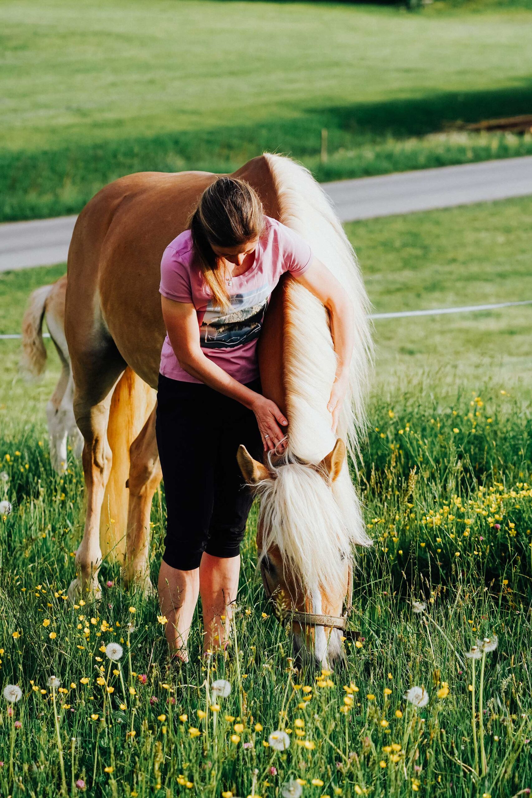 Cranio Sacral Balancing für Pferde bei Bea Holzmann in Tirol ist eine sanfte energetische Methode zur Harmonisierung des Energiesystems. Feine Impulse entlang von Kopf, Wirbelsäule und Becken unterstützen Entspannung, Ausgleich und Körperbewusstsein. Besonders geeignet für Pferde mit Stress, innerer Unruhe, sensibler Wahrnehmung oder zur begleitenden Unterstützung von Bewegungsabläufen.