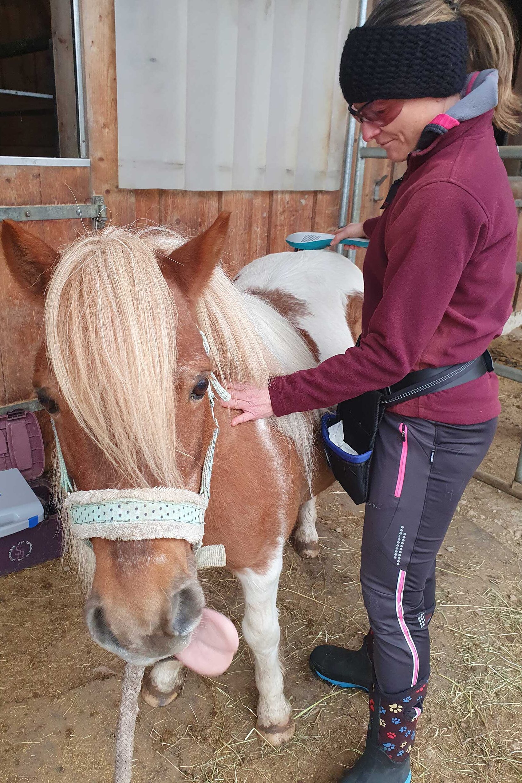 Ganzheitliche Energetik in Tirol mit Cell-Re-Active Training für Mensch und Tier. Jetzt Website besuchen oder unverbindlich Kontakt aufnehmen – Bea hilft weiter.